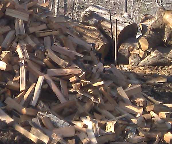 Asheville firewood processor